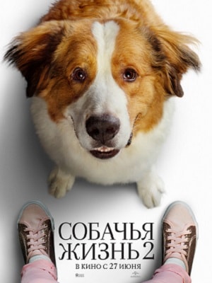 Собачья жизнь 2